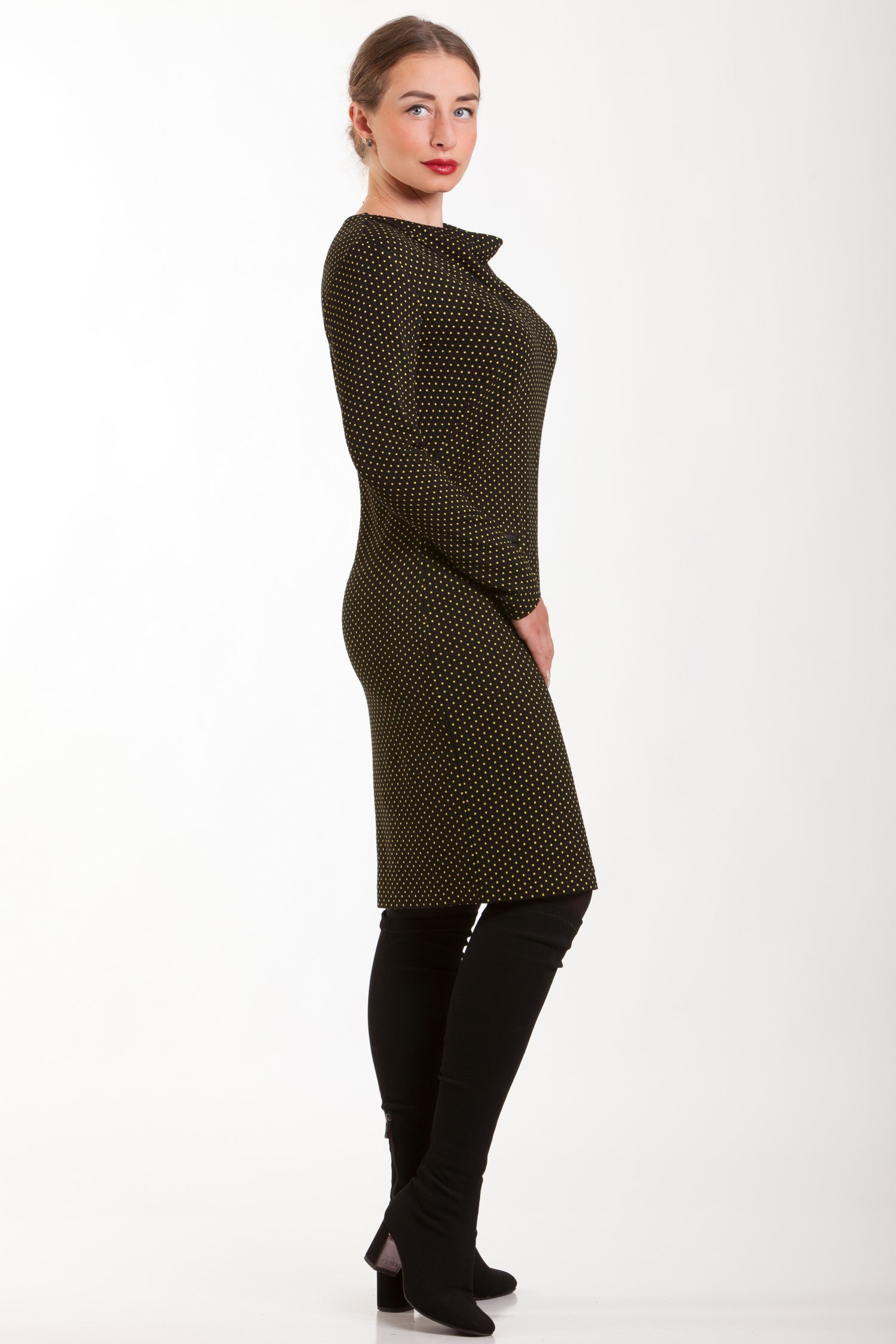 Classic Fitted Dress Lucy No9